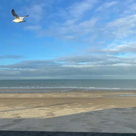 La Vigie Malouine - Front De